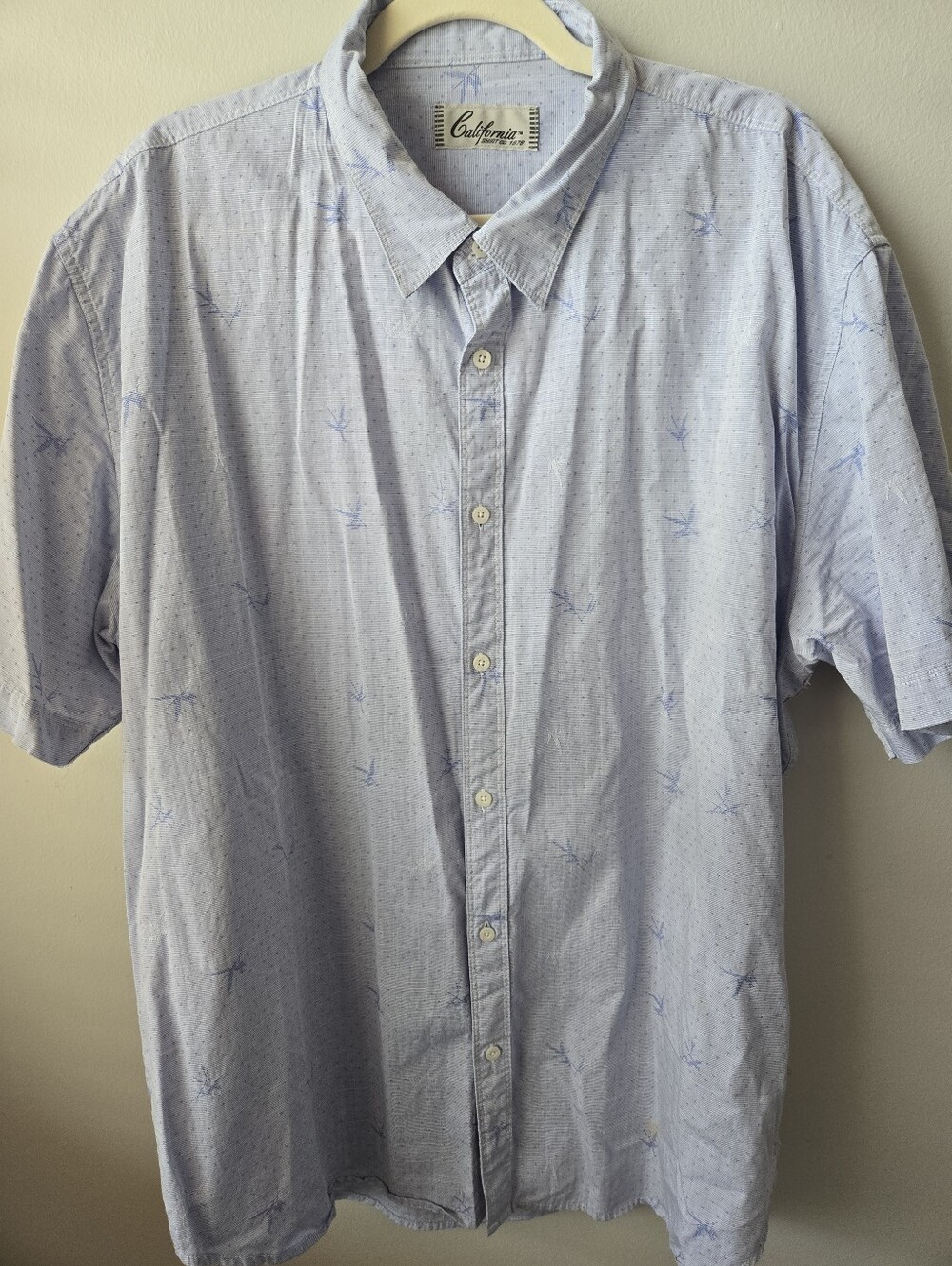 Light Blue Short-Sleeve Button-Down Shirt
